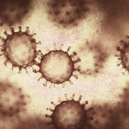 Rotavirüs Nedir? Çocuklarda İshal İle Ne İlişkisi Vardır?