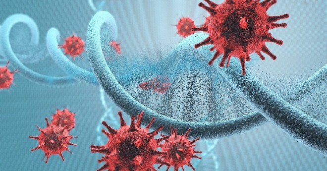 Kandaki Enfeksiyona Ne İyi Gelir?