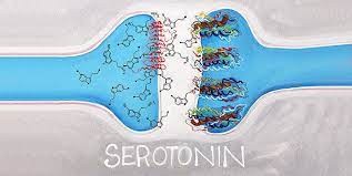 Serotonin Nedir