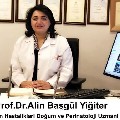 Prof. Dr. Alin Başgül Yiğiter
