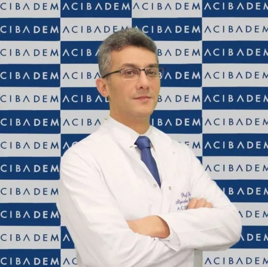 Prof. Dr. Alparslan Birdane