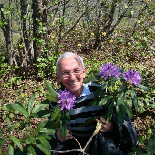 Prof. Dr. Aziz Hacıbektaşoğlu