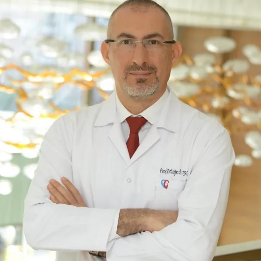 Prof. Dr. Ertuğrul Ercan