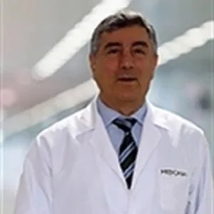Prof. Dr. Faysal Gök