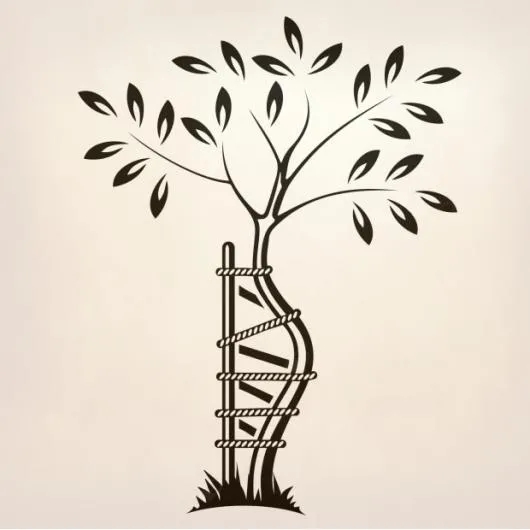 Prof. Dr. Hamza Özer