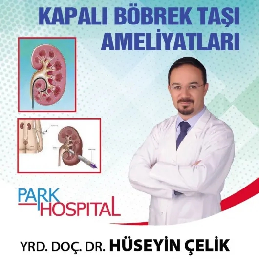 Dr. Öğr. Üyesi Hüseyin Çelik