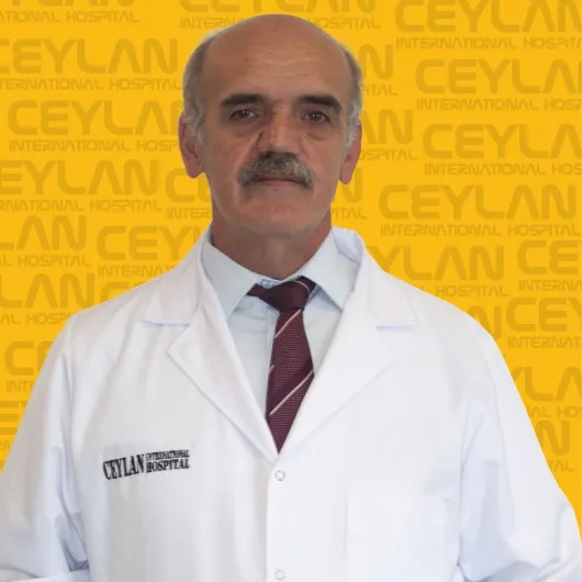 Prof. Dr. Lütfi Özkan