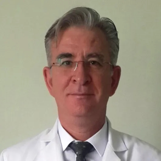 Prof. Dr. Mehmet Aksoy