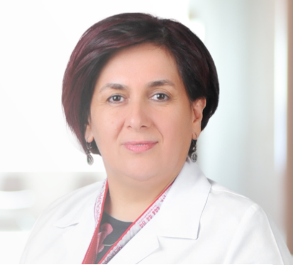 Prof. Dr. Işılay Nadir