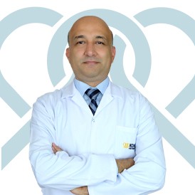 Yrd. Doç. Mehmet Saldır